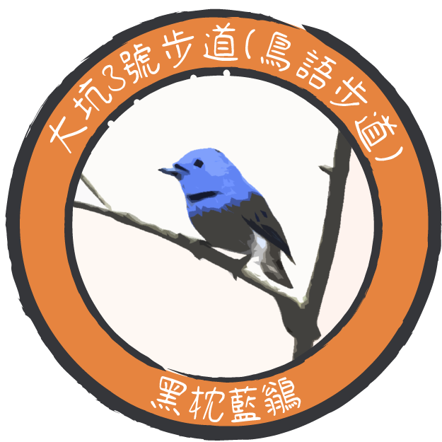1982b10b5e847e5623236e1fa87a5e17.png