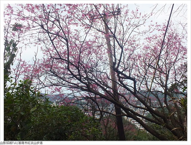 紅淡山步道 (42).JPG - 紅淡山步道