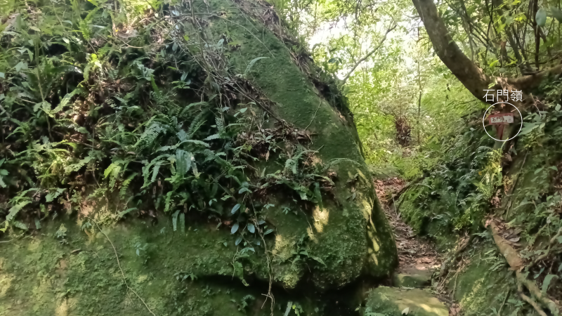 19fa467ab7870e8f6b0afdf1466884d6.png