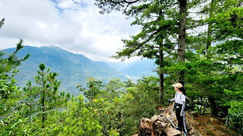 【中級山】隱藏版的大魔王，谷關第八雄，阿冷山，阿冷山前峰，阿冷山北峰