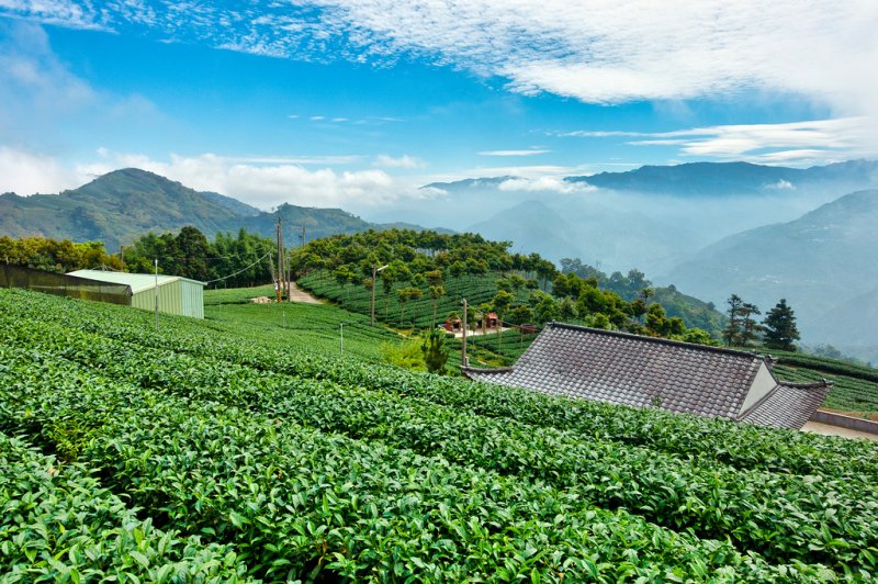 ❤ 嘉義梅山竹崎 ≡ 螺旋式鐵道,就在「獨立山」