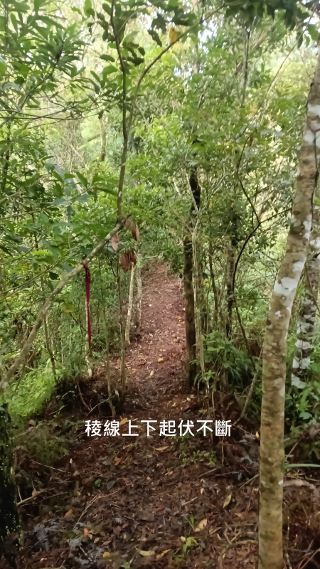 1a58484d4c005ca919029213968e5f78.png