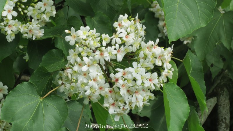 1aca64ad0df5e030c1c8c144f49b50dc.jpg