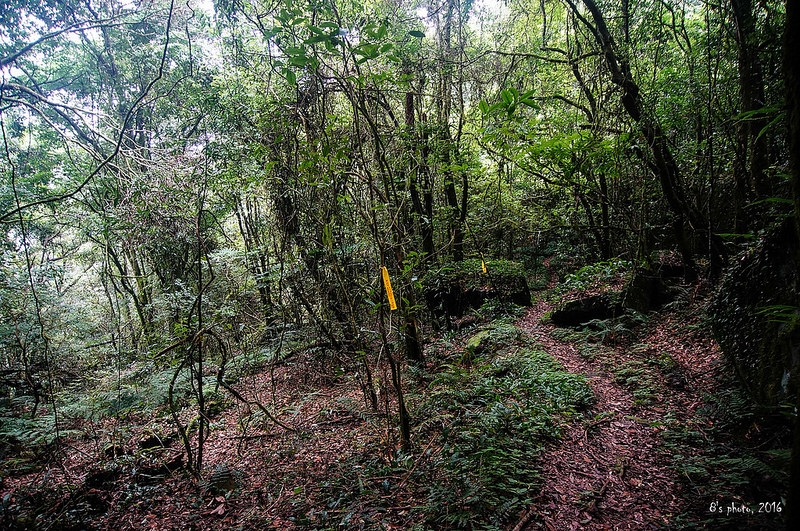 島田三山腰繞路風景