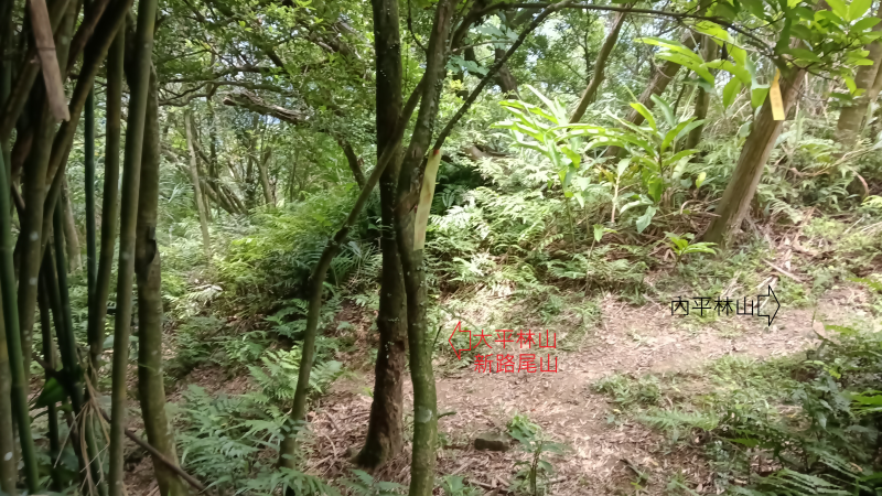 1b7950ad72125de743a7f038a7be21ee.png