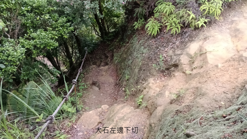 1be4f9814a064c94c8f0d57ba056ee6c.png