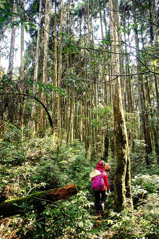 橫屏山步道