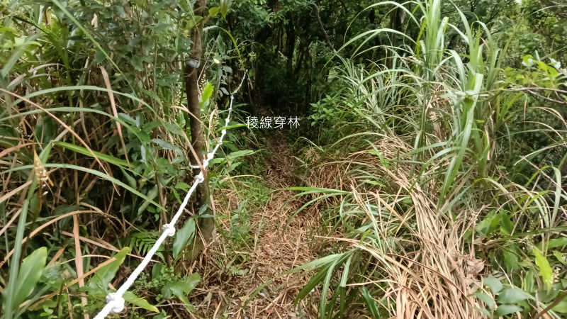 1c1bc1793d44d7fb597152ecca3992a2.png