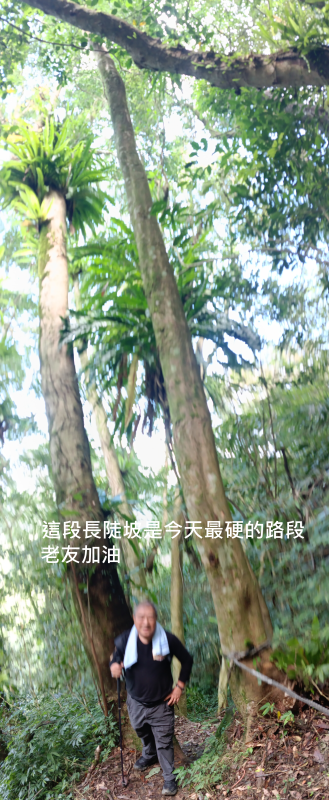 1d2445b26b76893c645f398849768a87.png