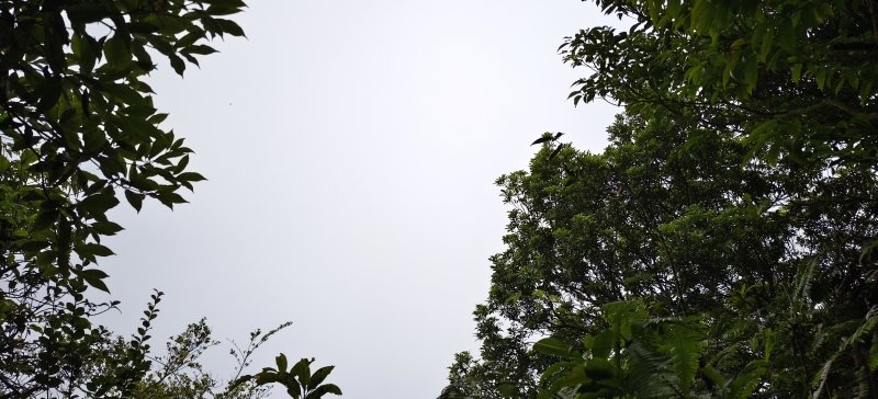1d7cf5c92c75fc7b0fe491aee96a600e.jpg