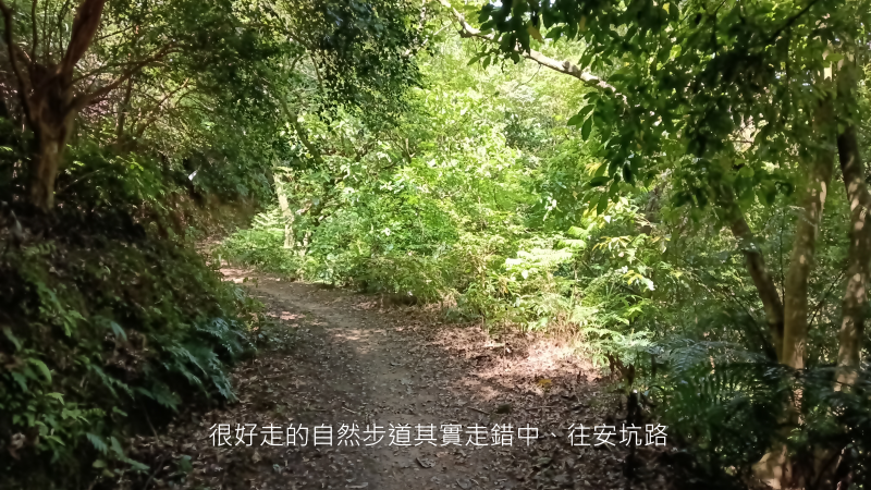 1dc0d6b52ee599767d2a17517b58a13a.png