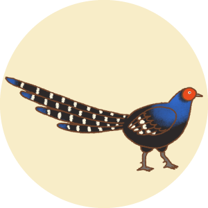 1e05a959971b8e9de4922440d391a3a1.png