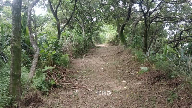 1e1b08319311ef422176a517b52fc916.png
