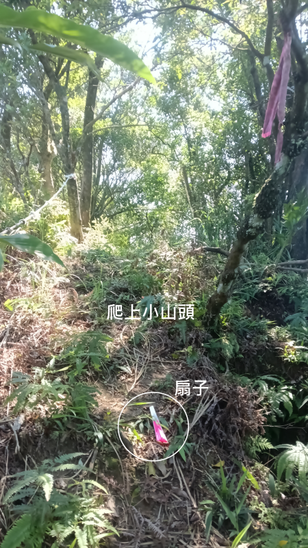1e4328c4a1b34f8773bdfe84aa0b0b4b.png