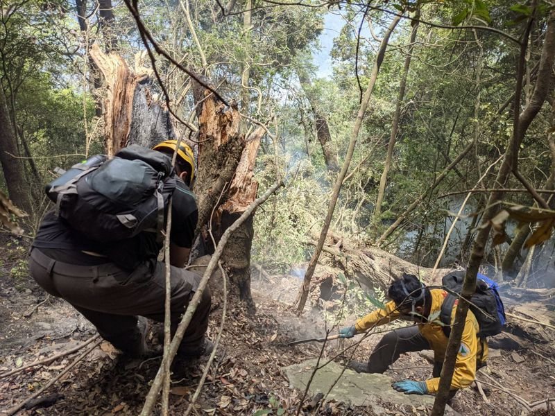 新聞 山神的眼淚也是森林護管員的眼淚搶救馬崙山大火有感 健行筆記