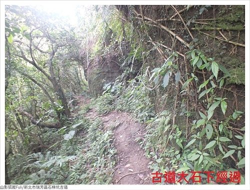 石梯坑古道 (26).JPG - 石梯坑古道