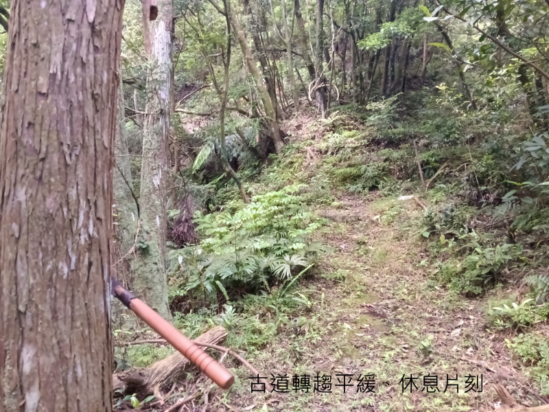 1f514c2ab194ef4277de710eee219ded.png