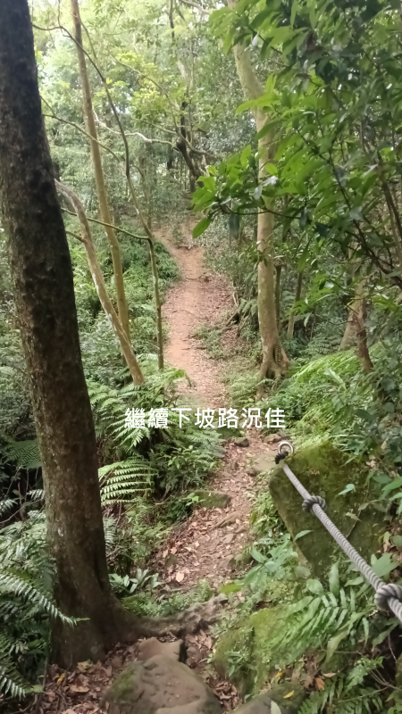 1f5229f990b075d467944ceaa3c907c8.png