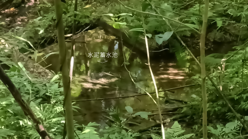 1f66589e6710e6379b5c3c4212adb972.png