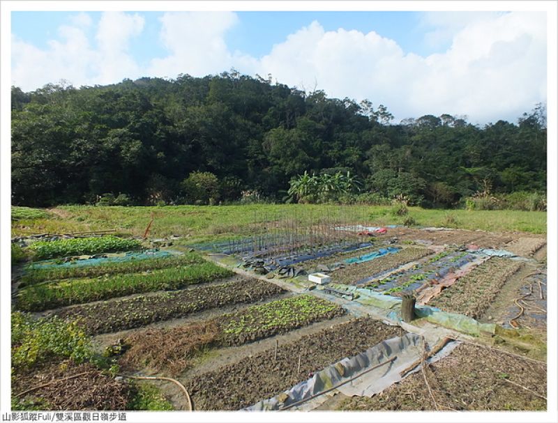 文秀坑古道 (7).JPG - 觀日嶺、文秀坑古道