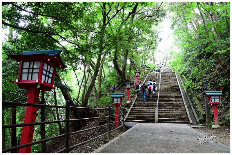 東京高尾山 (23).JPG