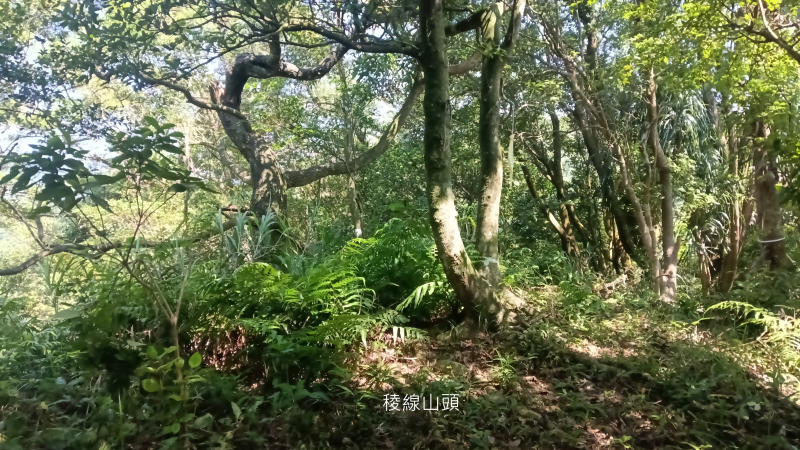 1ff40bd524b06bfa5e3b89bee596cd0c.png
