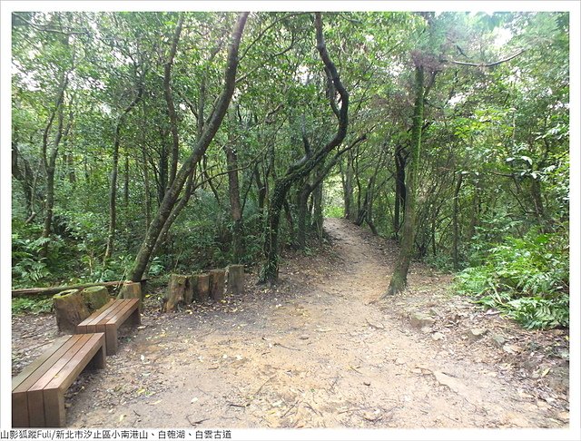 姜子寮山步道 (29).JPG - 姜子寮山步道櫻花