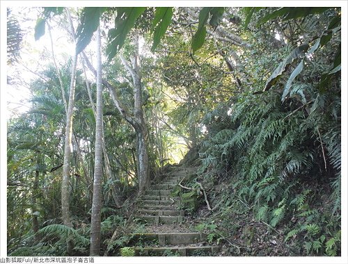 炮子崙古道 (22).JPG - 炮子崙古道