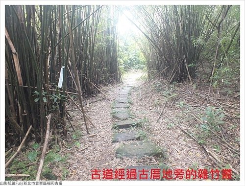 福卯古道 (29).JPG - 福卯古道