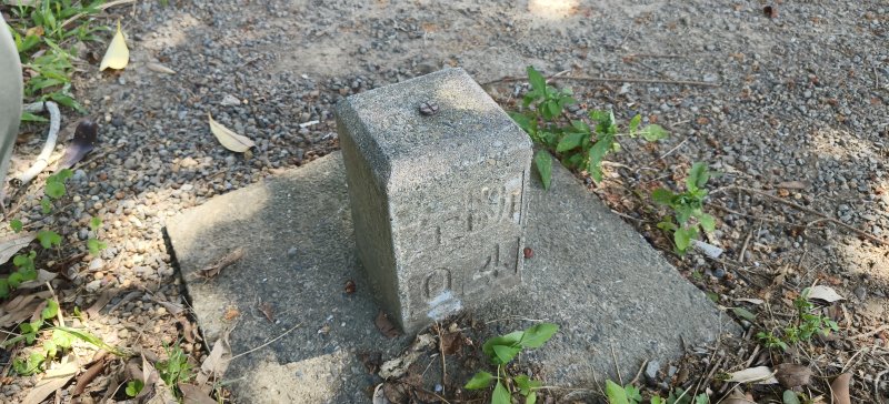 208edf55f3c206bf42fa58e6f1249fda.jpg