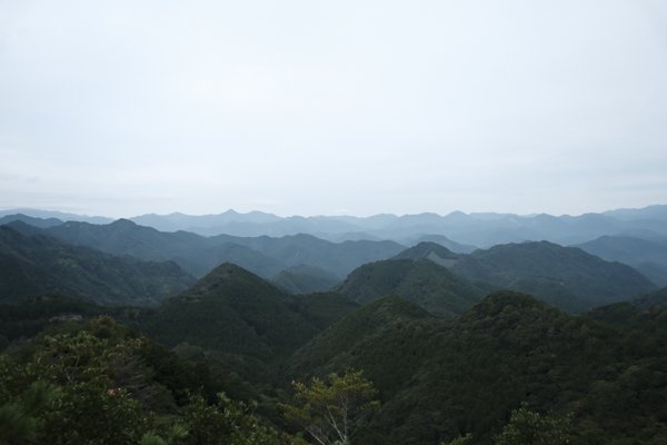 20bb6b58c1ed4d37b65905d64edfd7f3.jpg