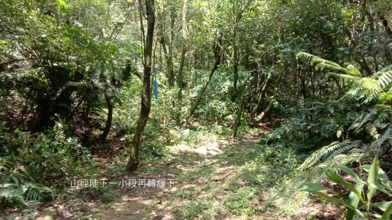 20cf2bdb7a2969ec891d31a8a3294645.png