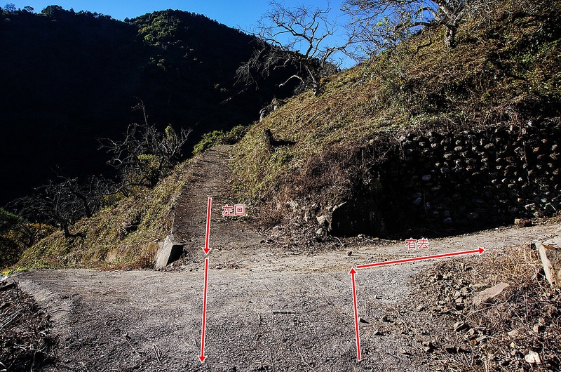 1188 峰環型路線