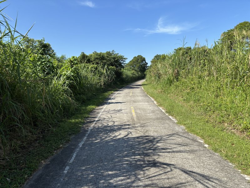 21519bfe5f6b6b327258ff48c25fcada.jpg