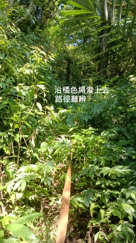 21555b7946bb97614c098a8b602dc2cc.png