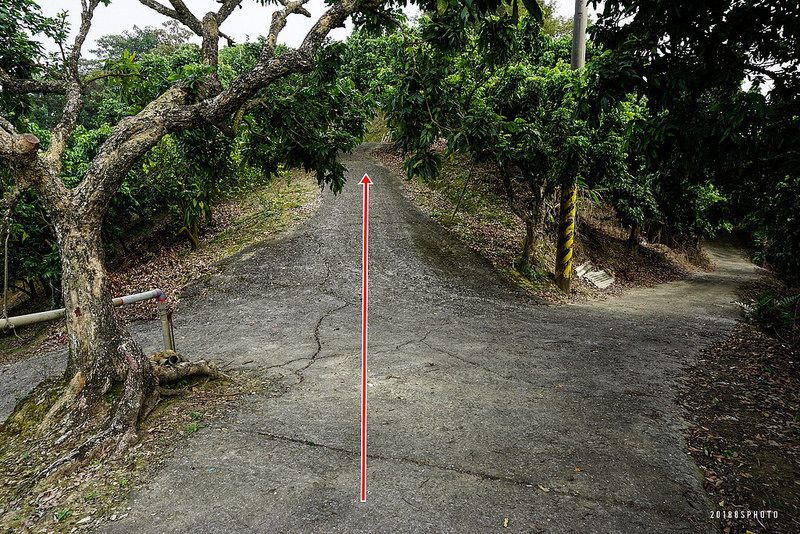 北勢坑森林點路徑