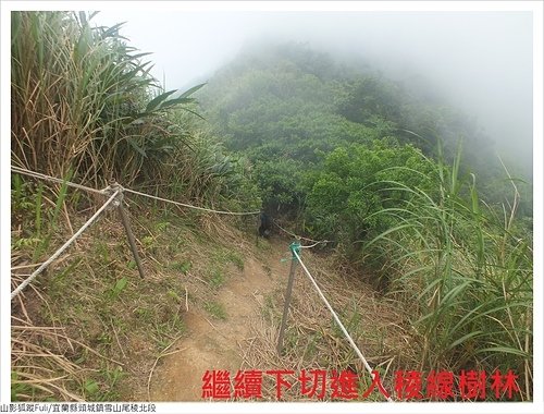 雪山尾稜北段 (43).JPG - 雪山尾稜北段