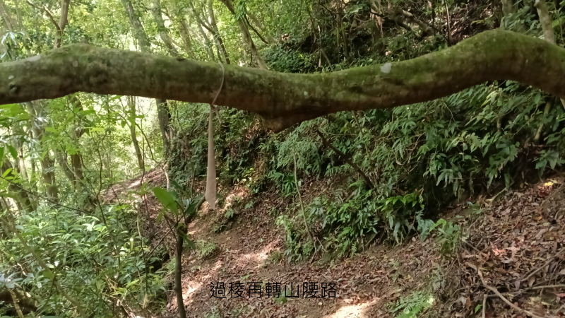 2281725a1cc24ddb14143bd01ee0805d.png