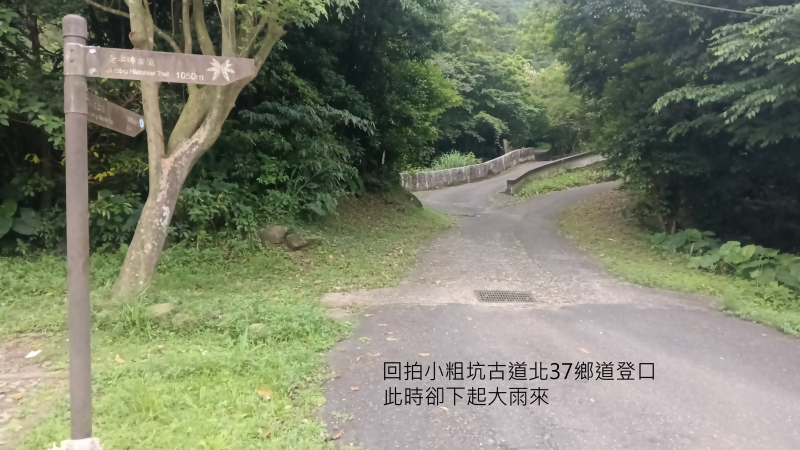 22ed09ed029cf2685e9d953cdfa2274c.png