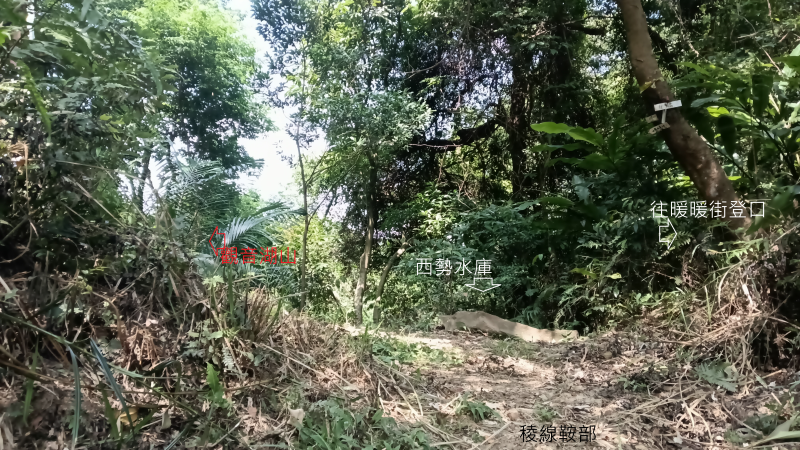 22f05945de32a44205675954f3a4138b.png