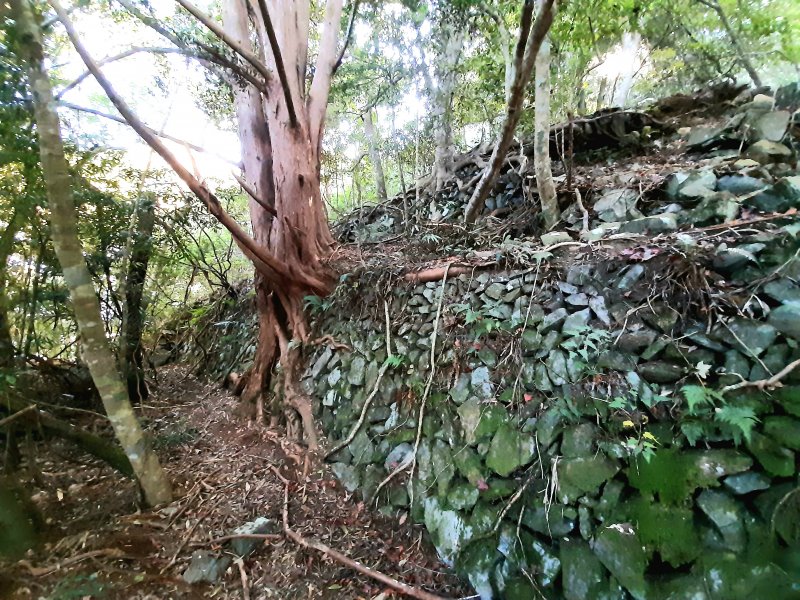 2020/12/05~06南松鶴上八仙山參訪駐在所,伏地索道