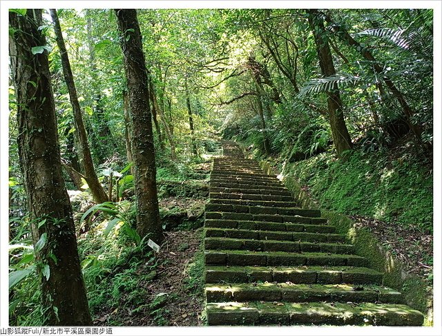 藥園步道 (48).jpg - 藥園步道