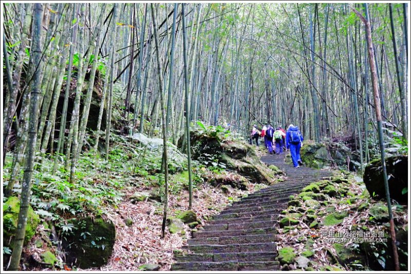 迷糊步道-福山古道