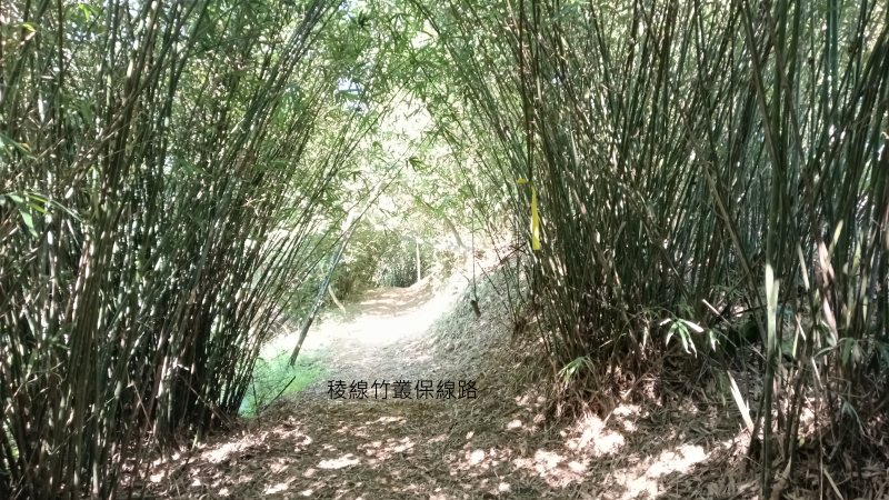 24db3e51646447e39a0452a80d8a3b6e.png