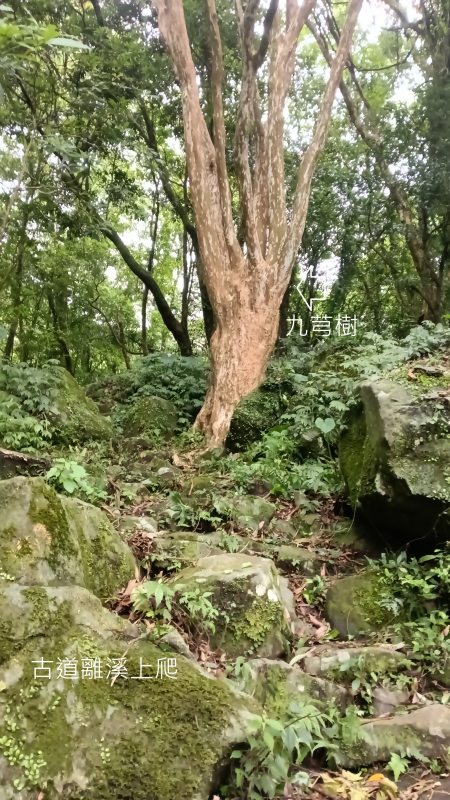 24dc30b7fd773f137c63d375eabf9e65.png