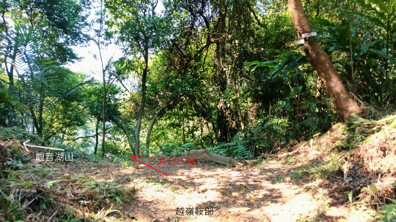 2539214ce98920bf3f580fed0832f375.png