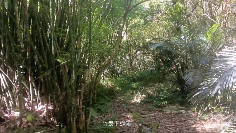 258024a4479be630e5095ff133b0cddc.png