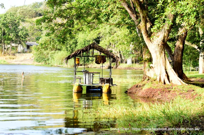25b32e0e25c2bd205c40938243693675.jpg