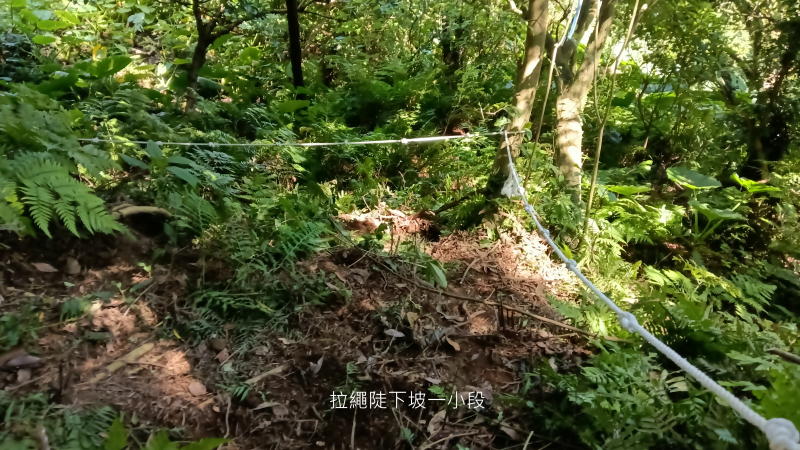 25ec9fbdde357e06d2cdde2ebf36766e.png