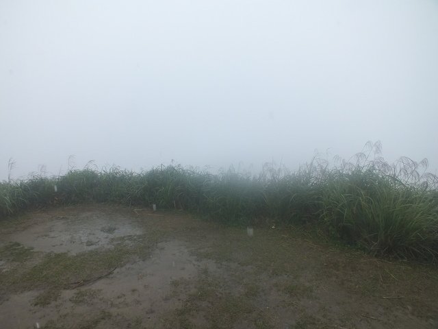 五分山稜線步道 (52).JPG - 雨霧五分山
